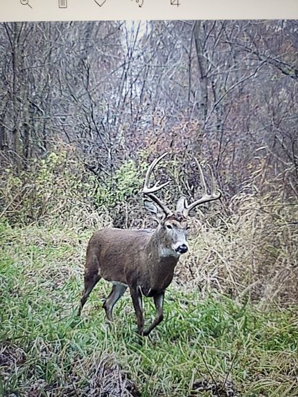 Recreational Property in Clarke County, Iowa
