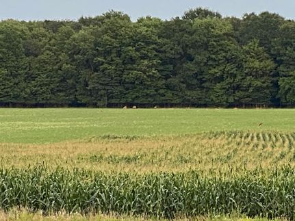 Farm and Ranch for sale in Indiana County, Pennsylvania