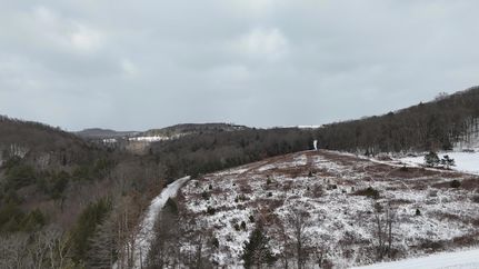 Undeveloped Land for sale in Armstrong County, Pennsylvania