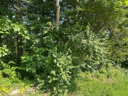 Commercial Property for sale in Clay County, Tennessee