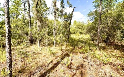 Farm and Ranch for sale in Levy County, Florida