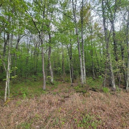Homesite for sale in Burnett County, Wisconsin
