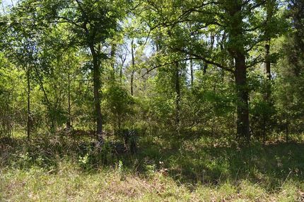 Undeveloped Land for sale in Henderson County, Texas