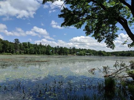 Undeveloped Land for sale in Sullivan County, New York