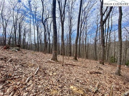 Hunting Property for sale in Avery County, North Carolina