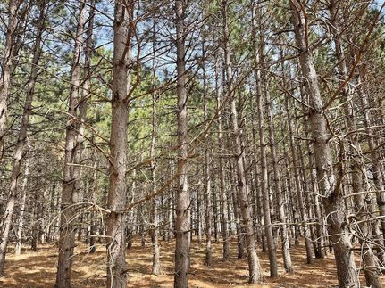 Farm and Ranch for sale in Douglas County, Minnesota