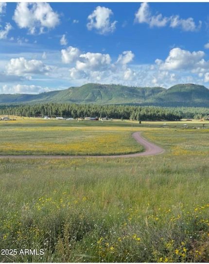 Timberland Property for sale in Apache County, Arizona