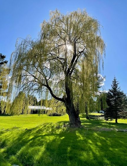 Farm and Ranch for sale in Saint Lawrence County, New York