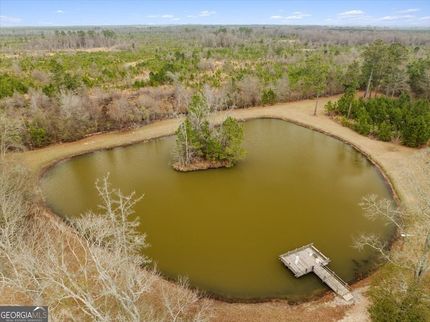 Undeveloped Land for sale in Worth County, Georgia