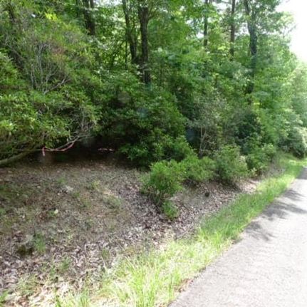Recreational Property for sale in Surry County, North Carolina