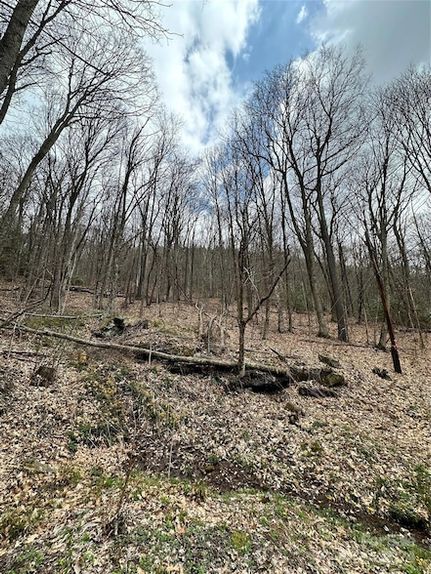 Farm and Ranch for sale in Haywood County, North Carolina