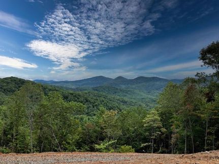 Timberland Property for sale in Fannin County, Georgia