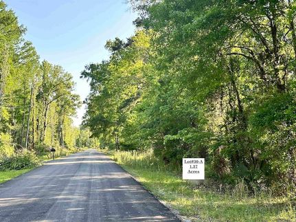 Timberland Property for sale in Ascension Parish, Louisiana