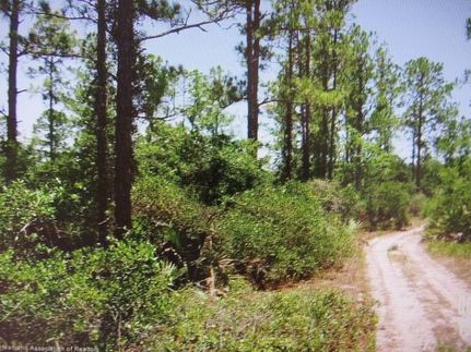 Farm and Ranch for sale in Highlands County, Florida