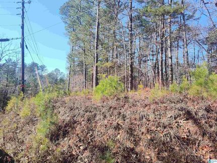 Undeveloped Land for sale in Coosa County, Alabama