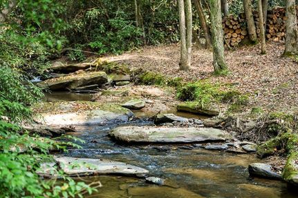 Timberland Property for sale in Fannin County, Georgia