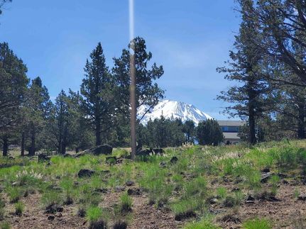 Timberland Property for sale in Siskiyou County, California