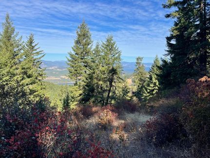 Undeveloped Land for sale in Stevens County, Washington