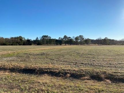 Undeveloped Land for sale in Accomack County, Virginia