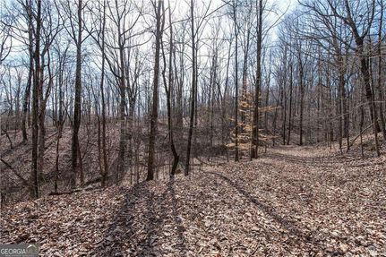 Lakefront Property for sale in Lumpkin County, Georgia