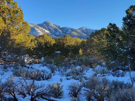 Timberland Property for sale in Taos County, New Mexico