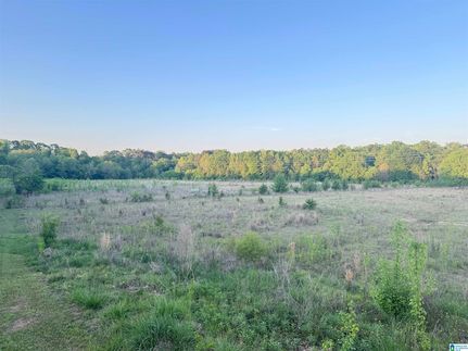Undeveloped Land for sale in Shelby County, Alabama