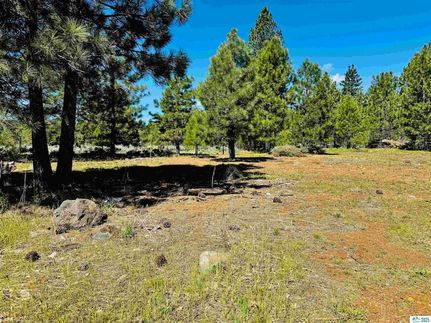 Recreational Property for sale in Lassen County, California