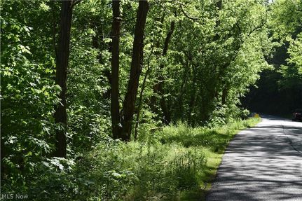 Recreational Property for sale in Belmont County, Ohio