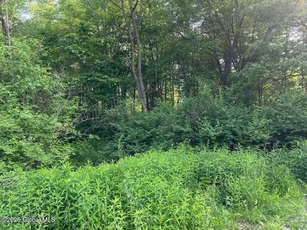 Farm and Ranch for sale in Saratoga County, New York