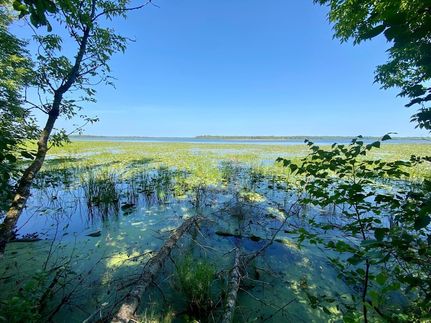 Hunting Property for sale in Beltrami County, Minnesota