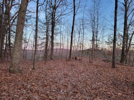 Timberland Property for sale in Litchfield County, Connecticut