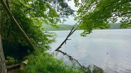 Undeveloped Land for sale in Essex County, New York