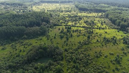 Undeveloped Land for sale in Koochiching County, Minnesota