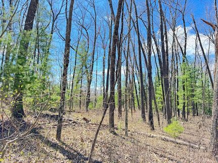 Farm and Ranch for sale in Newaygo County, Michigan