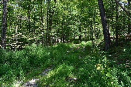 Recreational Property for sale in Orange County, New York