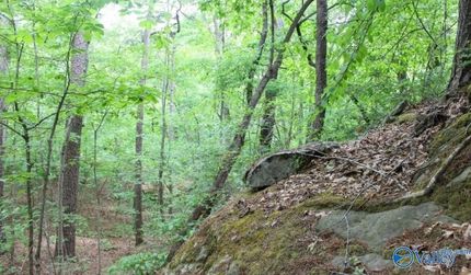 Farm and Ranch for sale in DeKalb County, Alabama