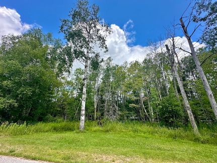Undeveloped Land for sale in Chippewa County, Michigan
