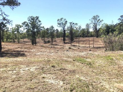 Undeveloped Land for sale in Baldwin County, Alabama