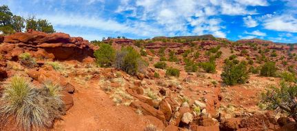 Undeveloped Land for sale in Sandoval County, New Mexico