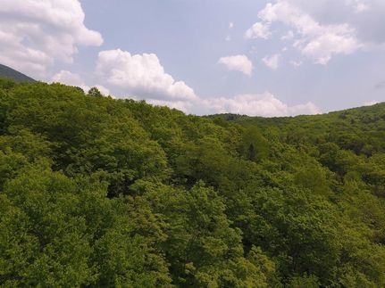 Timberland Property for sale in Caledonia County, Vermont