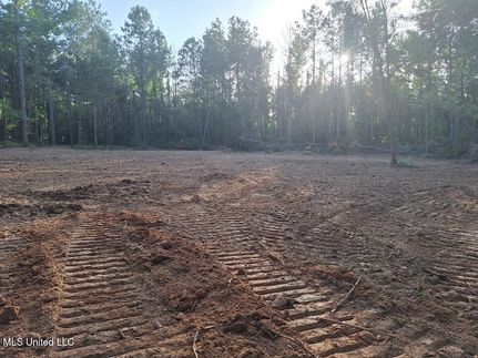 Farm and Ranch for sale in Simpson County, Mississippi