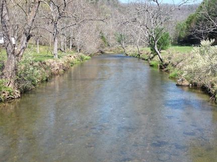 Undeveloped Land for sale in Carroll County, Virginia