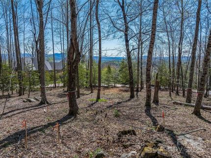 Farm and Ranch for sale in Buncombe County, North Carolina