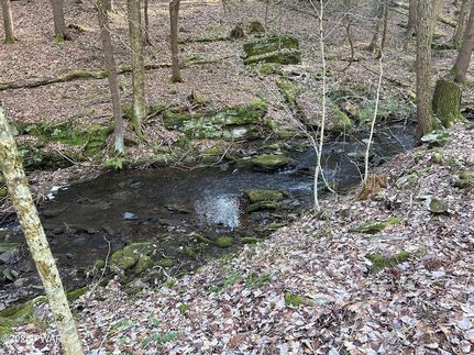 Undeveloped Land for sale in Wayne County, Pennsylvania
