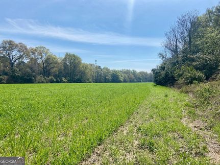 Undeveloped Land for sale in Peach County, Georgia