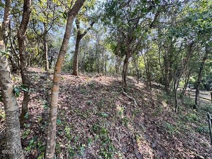 Recreational Property for sale in Pender County, North Carolina