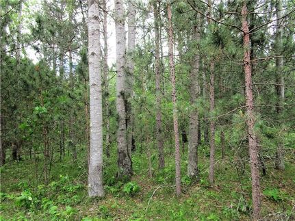 Timberland Property for sale in Burnett County, Wisconsin