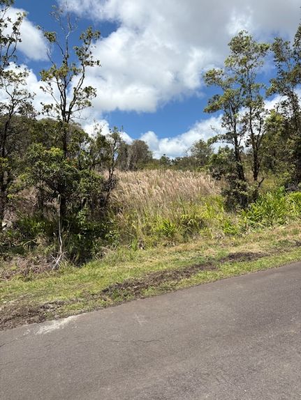 Farm and Ranch for sale in Hawaii County, Hawaii