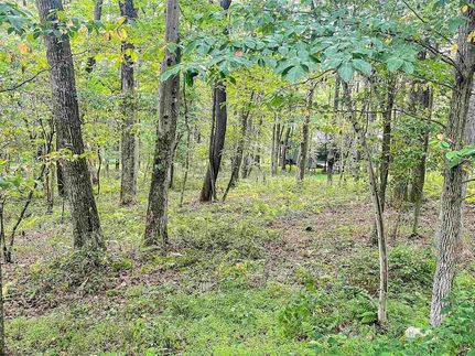Timberland Property for sale in Preston County, West Virginia