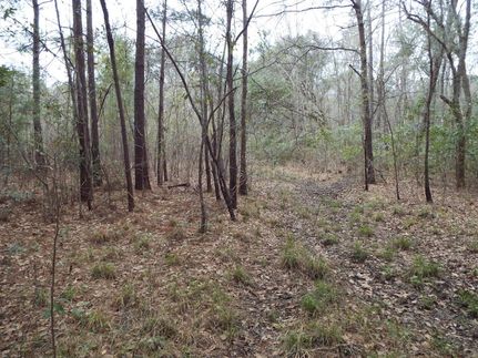 Farm and Ranch for sale in Berkeley County, South Carolina